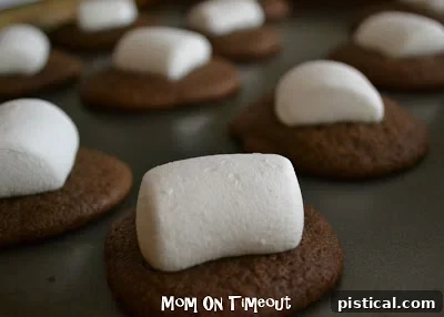Close-up of a freshly baked marshmallow chocolate cookie with icing.