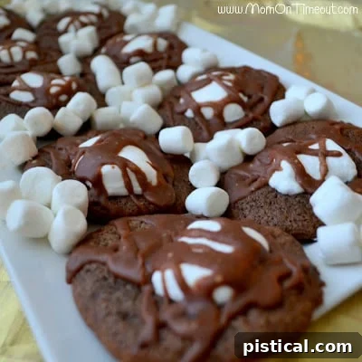 A plate of perfectly baked Marshmallow and Chocolate Cookies.
