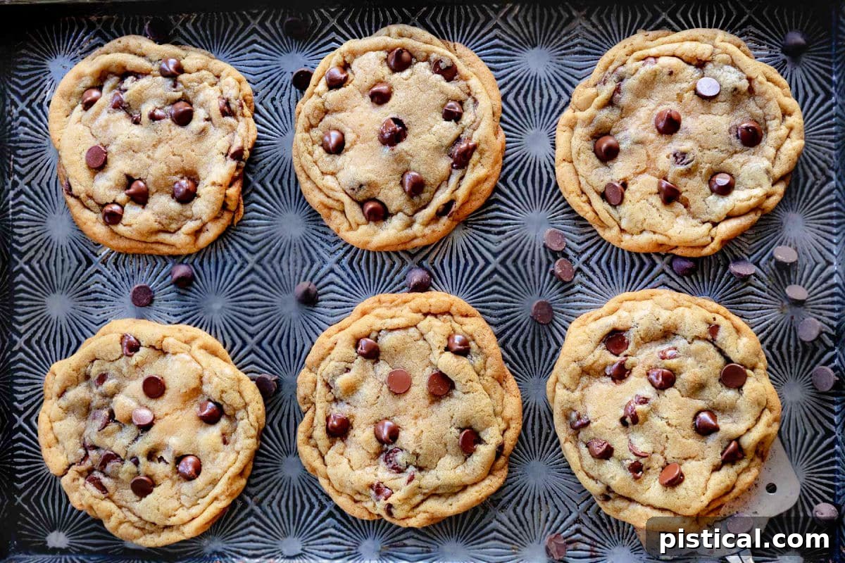 6 cookies baked on antique baking sheet