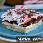 Decadent Four-Layer Peppermint Chocolate Delight 3 Chocolate Peppermint 4 Layer Dessert