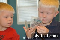 Child's hands shaking a bag of sugar with food coloring, a fun DIY activity.