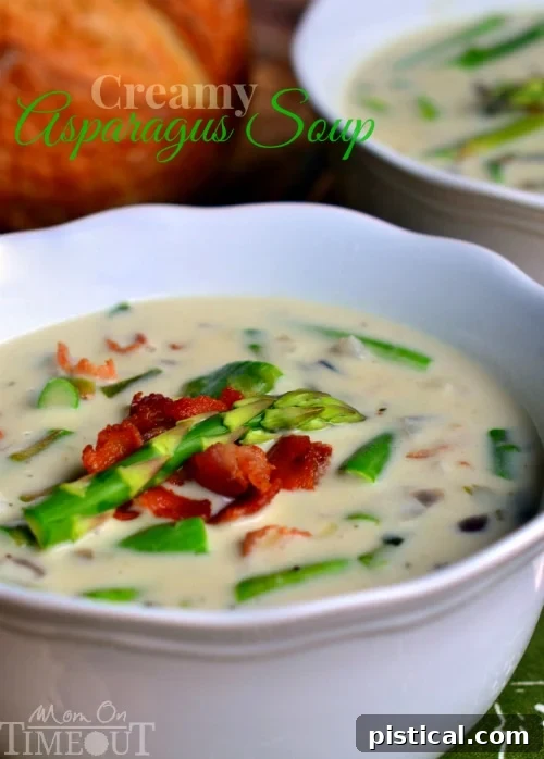 Mom's Creamy Asparagus Soup: A Delicious and Comforting Recipe This Creamy Asparagus Soup is so delicious and is just bursting with fresh flavor! Comfort food at it's best! | MomOnTimeout.com