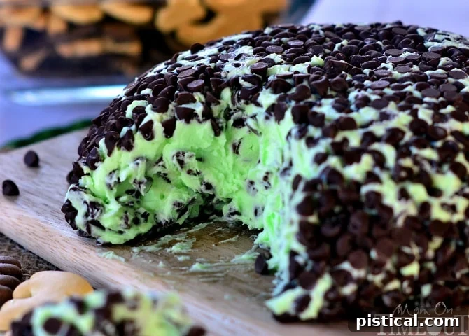 Mint Chocolate Chip Cheese Ball - tastes just like your favorite ice cream but better! | MomOnTimeout.com