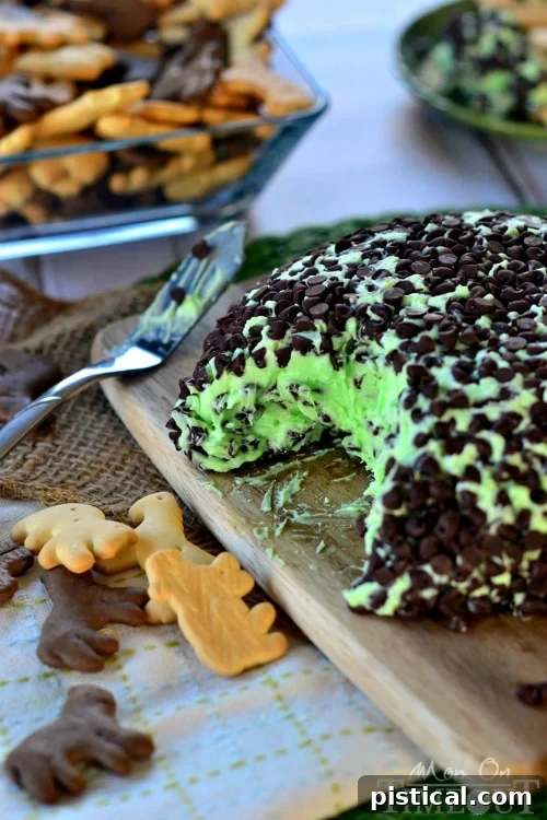 Mint Chocolate Chip Cheese Ball - tastes just like your favorite ice cream but better! | MomOnTimeout.com