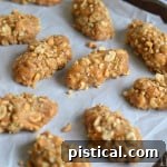 Totally Nutty Peanut Butter Candy Bars