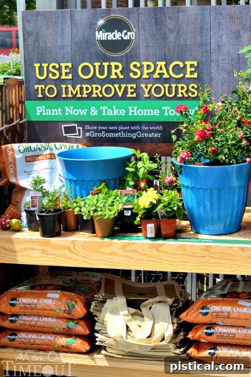 A well-organized potting station with tools and plants, ideal for container gardening.