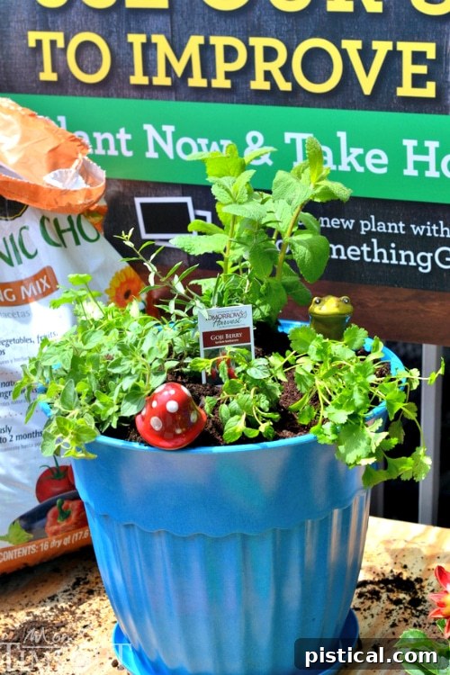 Small Space Gardening: Organic Potted Herb Garden | MomOnTimeout.com - The finished organic potted herb garden, a thoughtful Mother's Day gift.