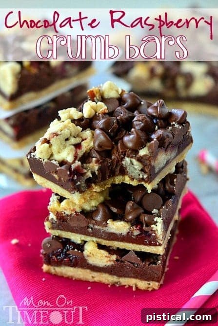 Rich Chocolate Raspberry Crumb Bars