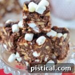 Finished Rocky Road S'mores Bars with marshmallows and chocolate topping