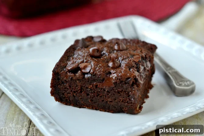 Simple and delicious: this one-bowl Chocolate Banana Applesauce Cake is made without oil or butter, making it a healthy and perfect snack. Full recipe at MomOnTimeout.com