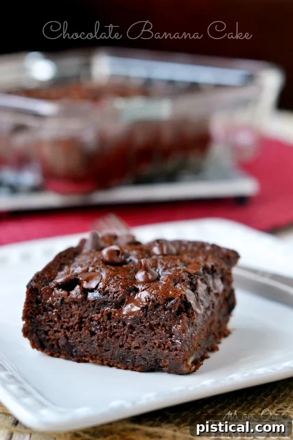 The ultimate snack cake: one-bowl Chocolate Banana Applesauce Cake, made without oil or butter. Amazingly moist and perfectly decadent. Recipe from MomOnTimeout.com
