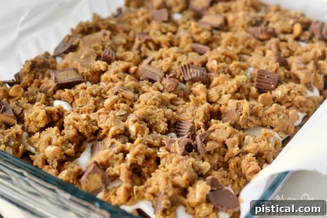 Reese's Peanut Butter S'mores Oatmeal Cookie Bars with top cookie layer