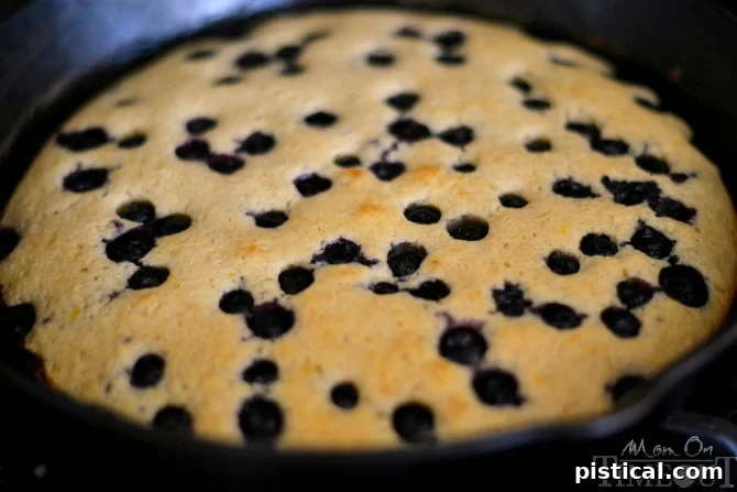 Golden Blueberry Skillet Pancake 5 Freshly baked Oven-Baked Blueberry Skillet Pancake with orange zest and cinnamon, emerged from the oven, puffed and golden, promising a delicious breakfast experience. | MomOnTimeout.com