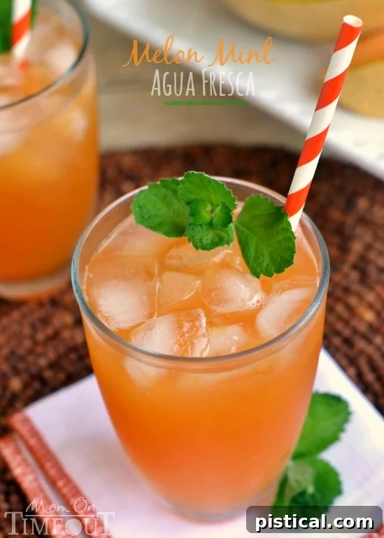 Melon Mint Cooler 4 Delight in the refreshing flavors of melon and mint in this tasty Melon Mint Agua Fresca! | MomOnTimeout.com | #aguafreca #beverage #drink #recipe