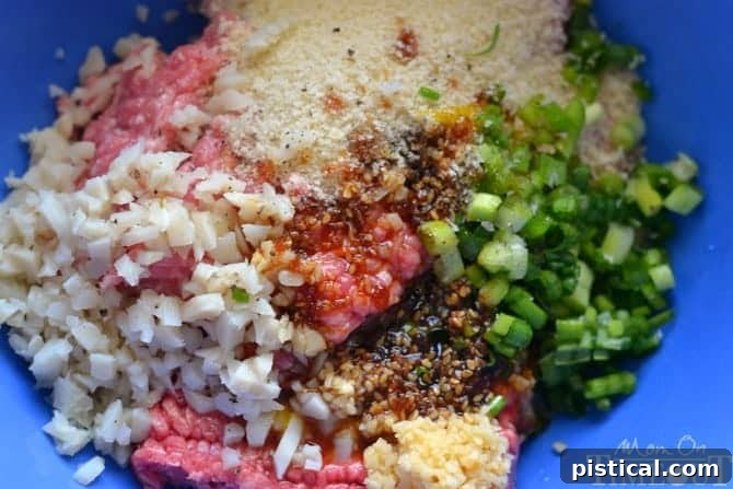 Sticky Teriyaki Meatball Bites 3 Key ingredients for homemade Teriyaki Meatballs including ground meat, Panko breadcrumbs, water chestnuts, and fresh green onions.