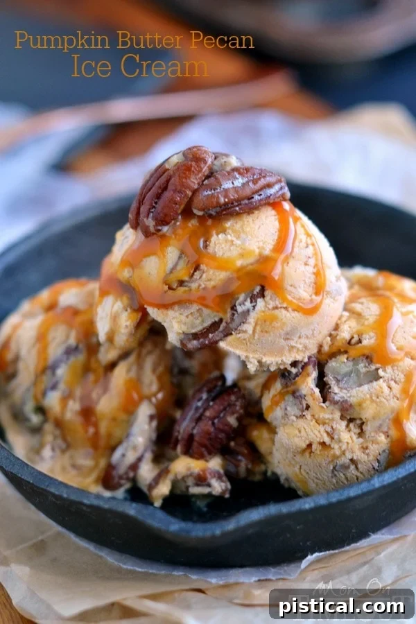 Close-up of a bowl of homemade Pumpkin Butter Pecan Ice Cream, showing rich texture and pecan pieces