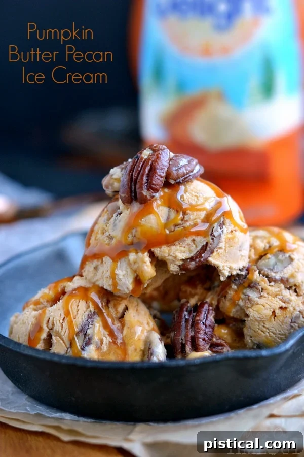 A serving of Pumpkin Butter Pecan Ice Cream with elegant swirls of caramel and whole pecan pieces