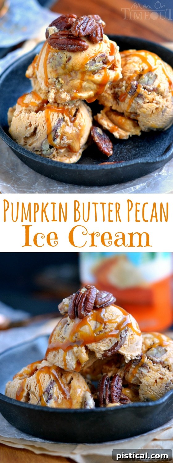 Tall vertical image showcasing the delightful Pumpkin Butter Pecan Ice Cream