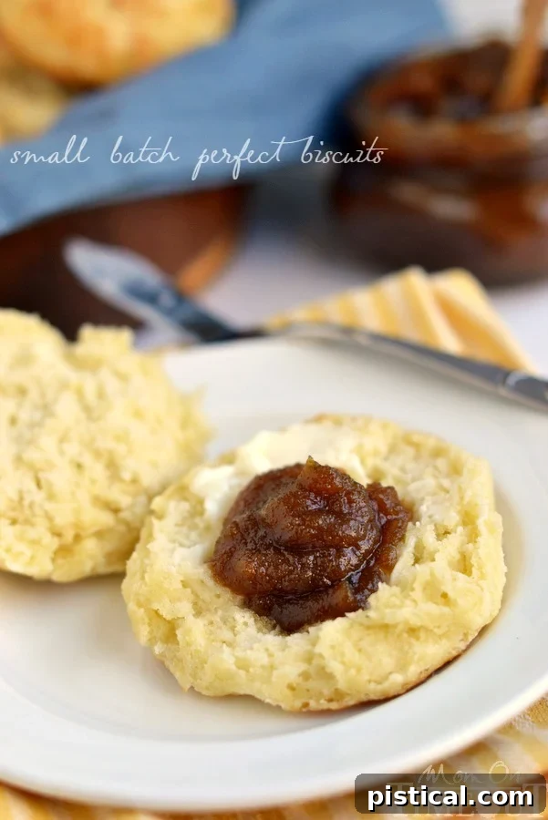 A beautifully baked small batch biscuit on a plate, generously spread with sweet pumpkin butter, inviting you to savor every bite.