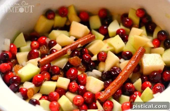 Fresh ingredients for cranberry chutney including cranberries, pears, apples, cinnamon sticks, and raisins