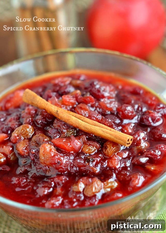 Slow cooker filled with simmering cranberry chutney ingredients, showcasing the ease of the crockpot method