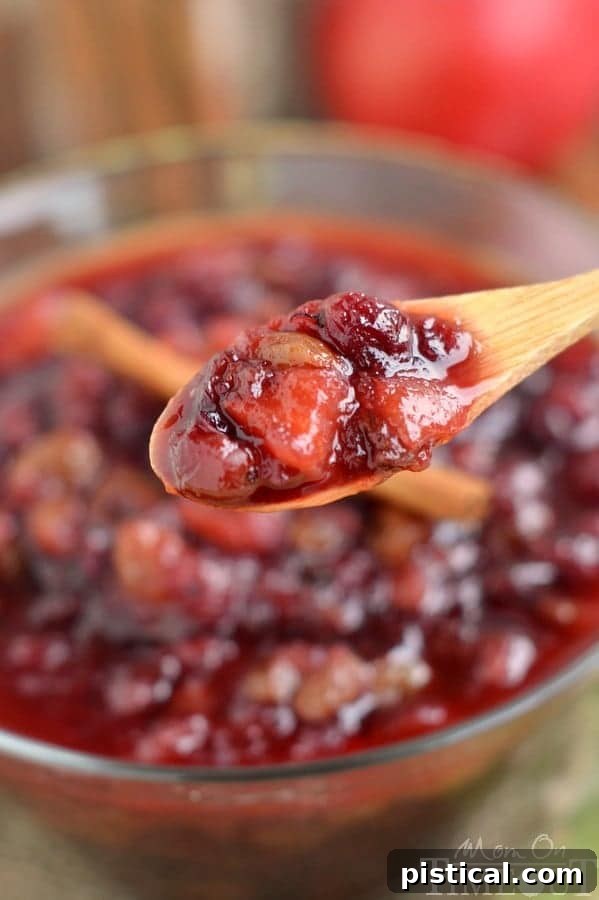 Serving of delicious Slow Cooker Spiced Cranberry Chutney, garnished with fresh cranberries and cinnamon stick