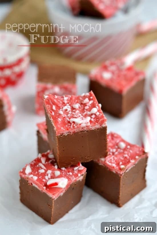 This Peppermint Mocha Fudge is just BEGGING to be served up at your holiday celebration! Perfectly festive and easy too! // Mom On Timeout
