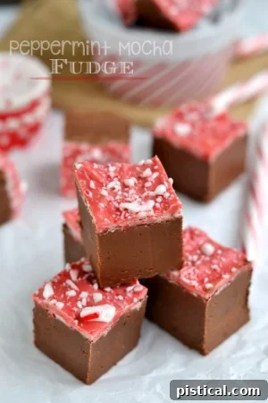 Rich Mocha No-Bake Energy Bars 7 Festive Peppermint Mocha Fudge, a holiday-inspired sweet treat with layers of mint and chocolate-coffee flavors.