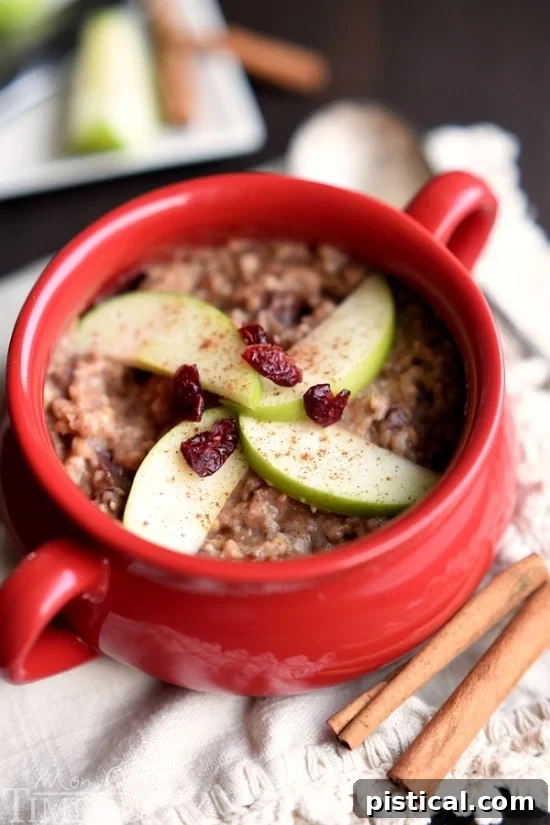 Close-up of a bowl of slow cooker oatmeal, infused with apple pie spice, ready to be topped and served for a cozy breakfast.