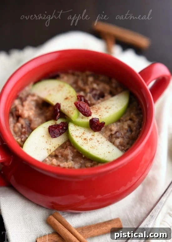 A close-up shot of creamy slow cooker oatmeal, garnished with fresh apple slices and dried cranberries, ready to be enjoyed.