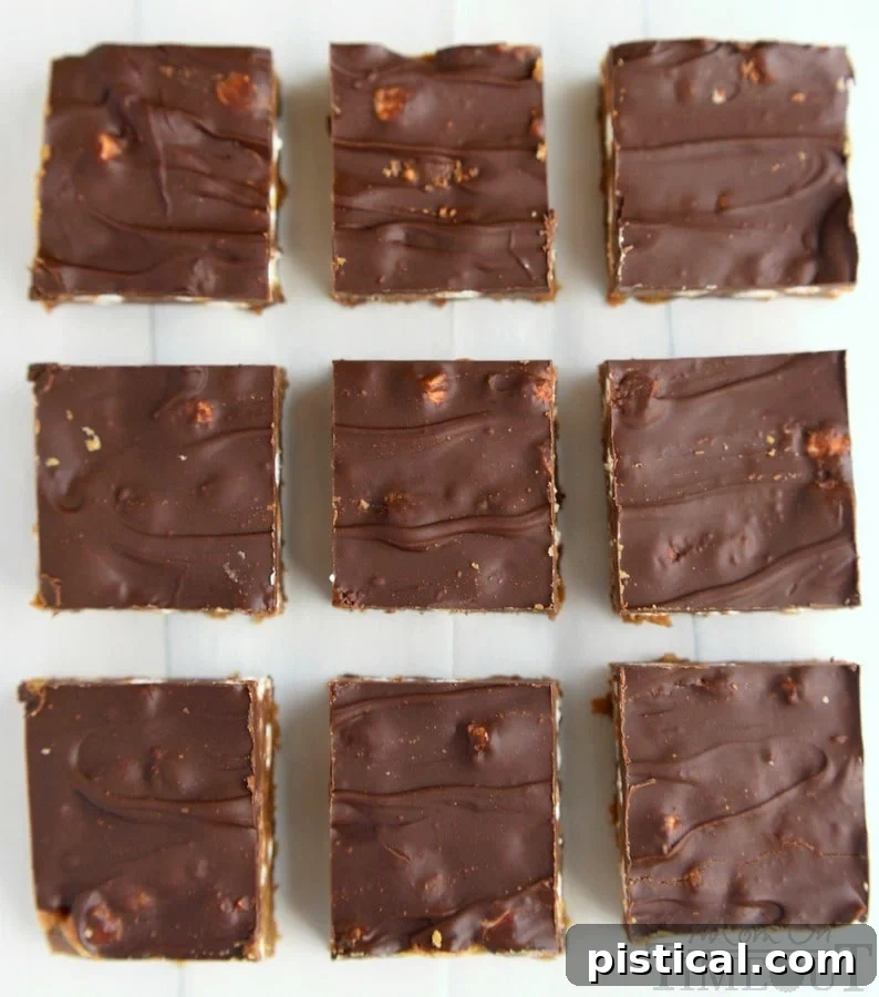 Decadent Peanut Butter S'mores No Bake Brownies can be whipped up in a jiffy and are just perfect for the hot summer months! This easy dessert recipe will having you coming back again and again. | MomOnTimeout.com