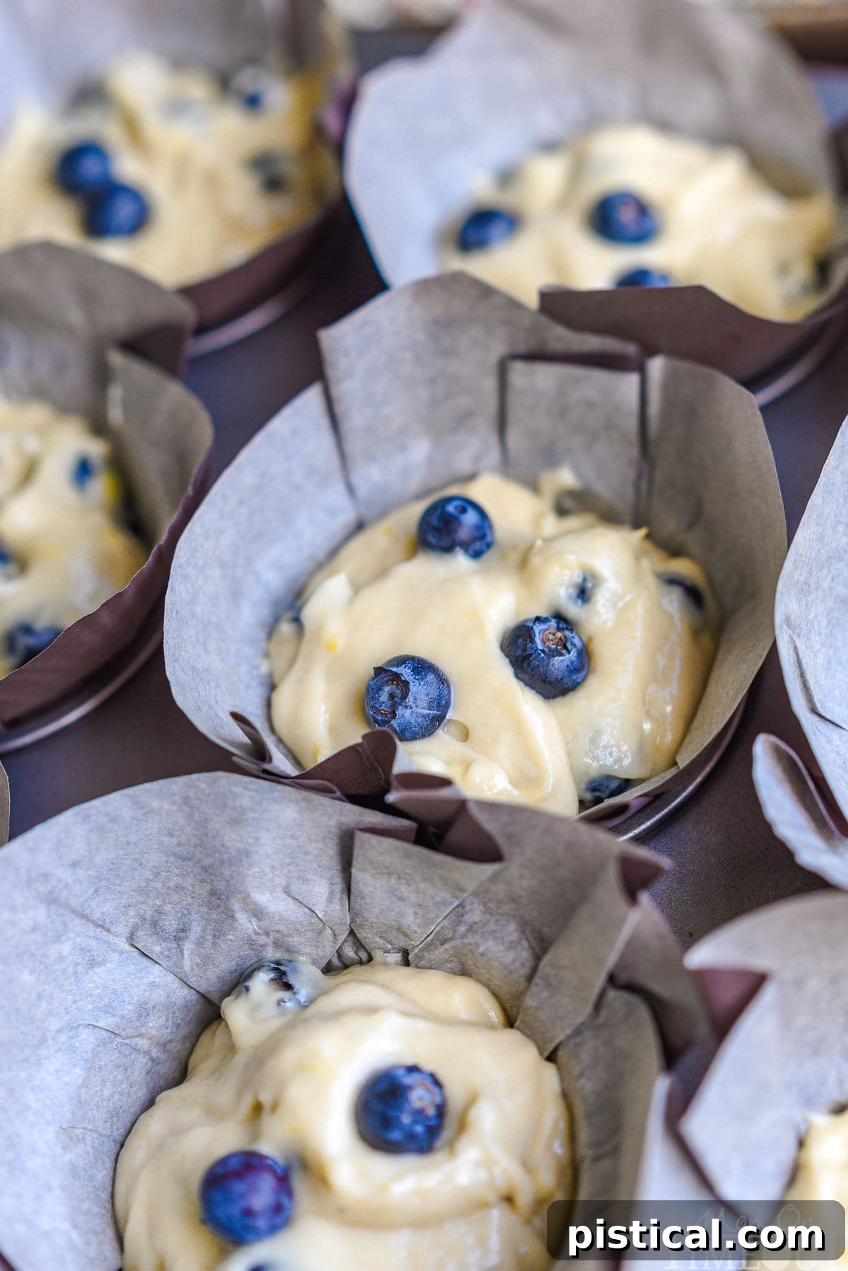 Zesty Lemon Blueberry Muffins with Cream Cheese Swirl 5 blueberry muffins in muffin tin with batter in tulip parchment liners ready to bake.