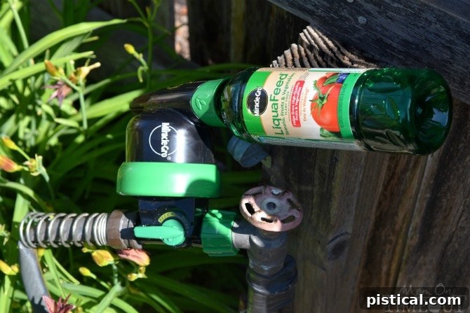 Miracle-Gro LiquaFeed Universal Feeder attached to a garden hose, demonstrating ease of use for plant feeding.