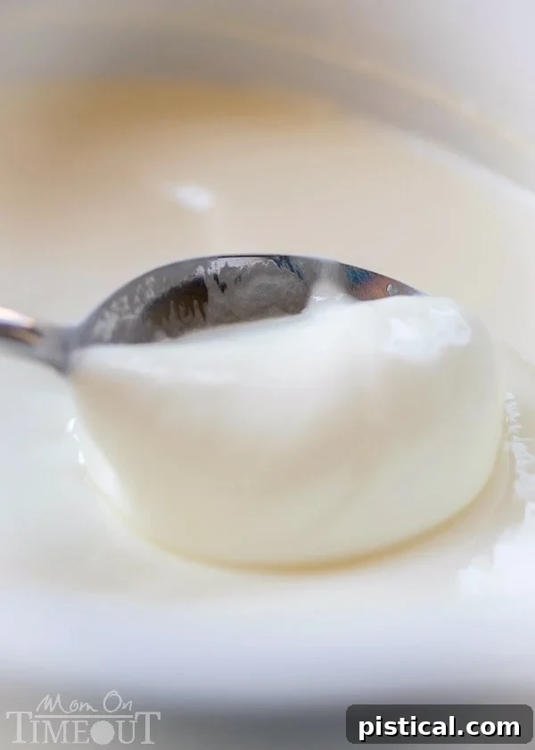 Refrigerated homemade slow cooker yogurt, showing its set consistency.