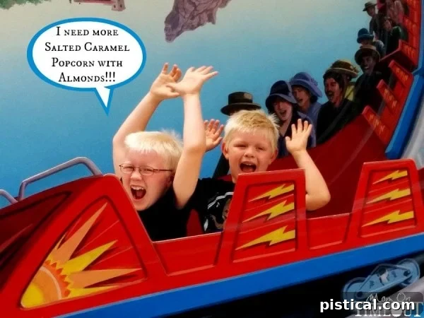 Family enjoying a rollercoaster ride at Disneyland during a road trip.