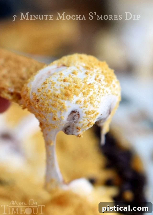 Rich Mocha S'mores Dip ready to be served