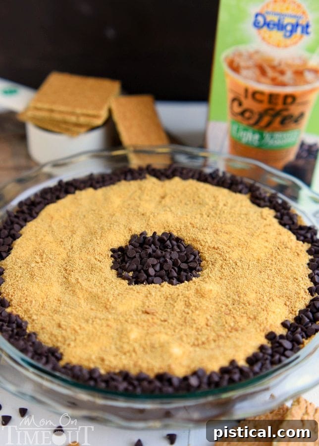 Mocha S'mores Dip topped with mini chocolate chips