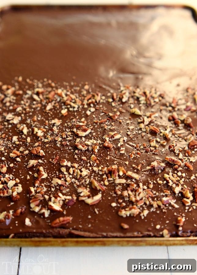 The Ultimate Texas Sheet Cake 3 The legendary Texas Sheet Cake is my go-to cake recipe to feed a crowd! Easy as can be, this cake boasts intense chocolate flavor and richness and can be made with or without nuts - dig in! // Mom On Timeout #cake #chocolate #texas #sheetcake #recipe #desserts #baking #recipes