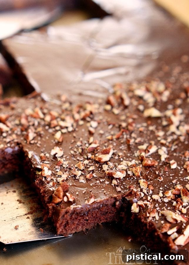 The Ultimate Texas Sheet Cake 4 The legendary Texas Sheet Cake is my go-to cake recipe to feed a crowd! Easy as can be, this cake boasts intense chocolate flavor and richness and can be made with or without nuts - dig in! // Mom On Timeout #cake #chocolate #texas #sheetcake #recipe #desserts #baking #recipes