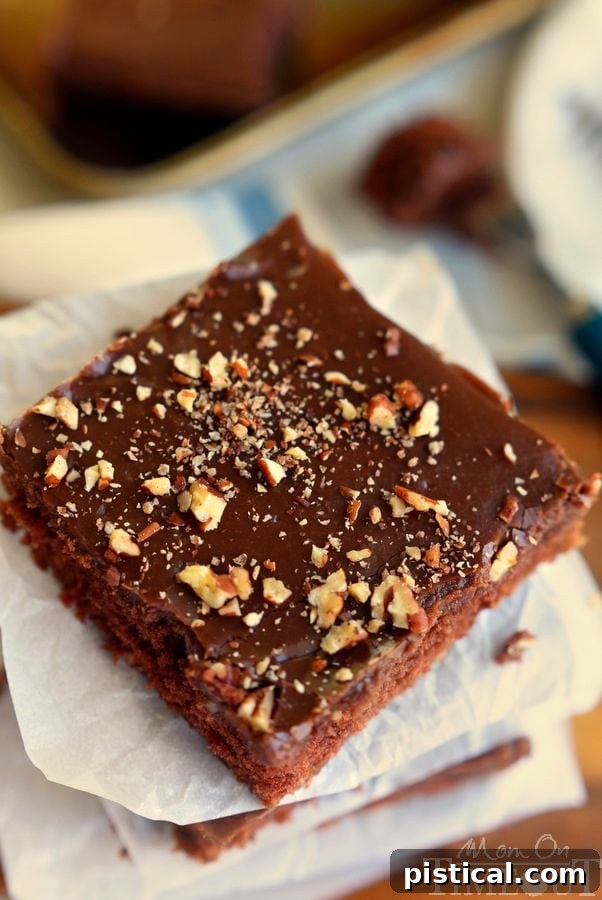 The Ultimate Texas Sheet Cake 6 The legendary Texas Sheet Cake is my go-to cake recipe to feed a crowd! Easy as can be, this cake boasts intense chocolate flavor and richness and can be made with or without nuts - dig in! // Mom On Timeout #cake #chocolate #texas #sheetcake #recipe #desserts #baking #recipes